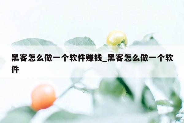 黑客怎么做一个软件赚钱_黑客怎么做一个软件