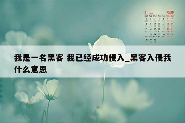 我是一名黑客 我已经成功侵入_黑客入侵我什么意思