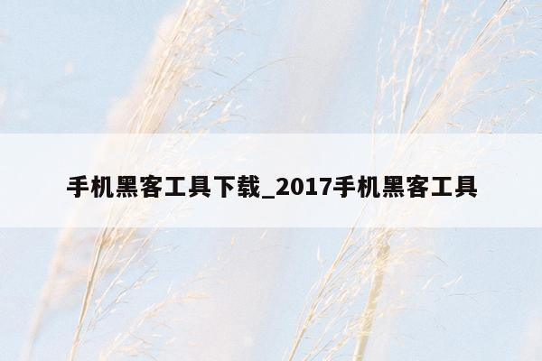 手机黑客工具下载_2017手机黑客工具