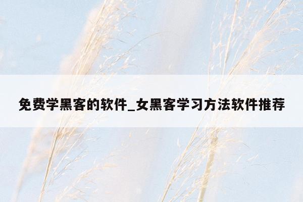 免费学黑客的软件_女黑客学习方法软件推荐