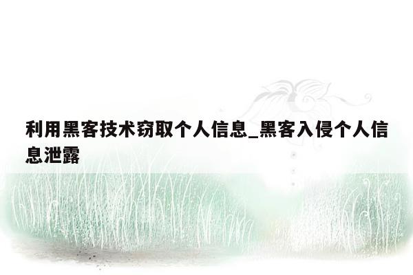 利用黑客技术窃取个人信息_黑客入侵个人信息泄露