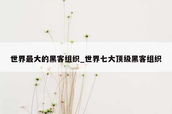 世界最大的黑客组织_世界七大顶级黑客组织