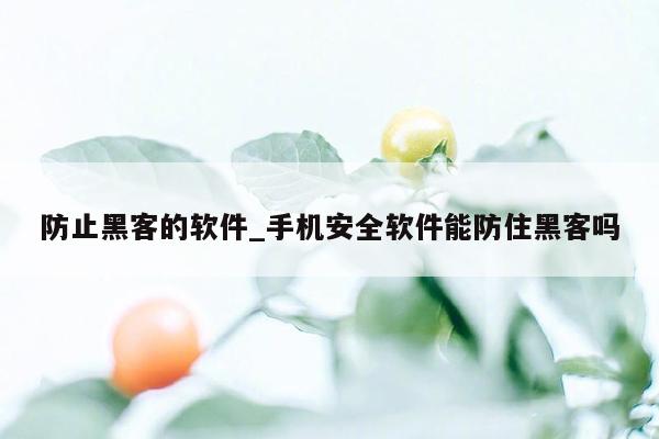 防止黑客的软件_手机安全软件能防住黑客吗