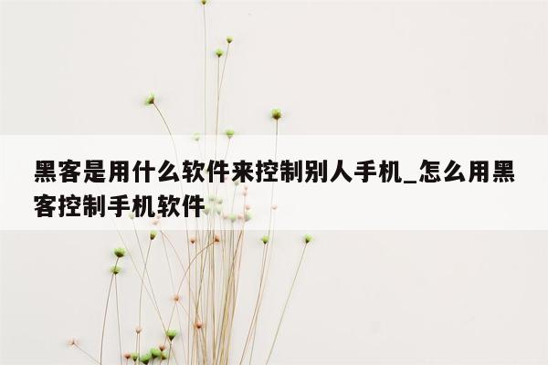 黑客是用什么软件来控制别人手机_怎么用黑客控制手机软件