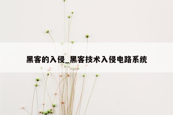 黑客的入侵_黑客技术入侵电路系统