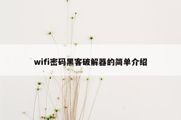 wifi密码黑客破解器的简单介绍