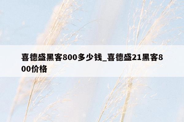 喜德盛黑客800多少钱_喜德盛21黑客800价格