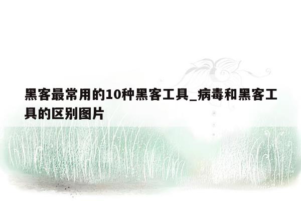 黑客最常用的10种黑客工具_病毒和黑客工具的区别图片