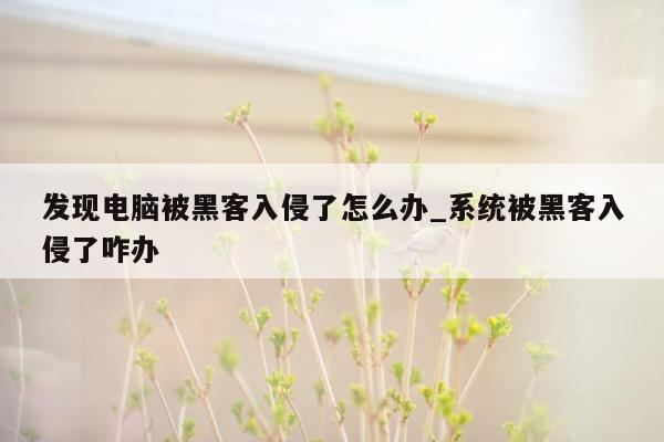 发现电脑被黑客入侵了怎么办_系统被黑客入侵了咋办