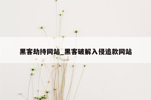 黑客劫持网站_黑客破解入侵追款网站