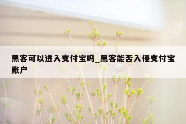 黑客可以进入支付宝吗_黑客能否入侵支付宝账户