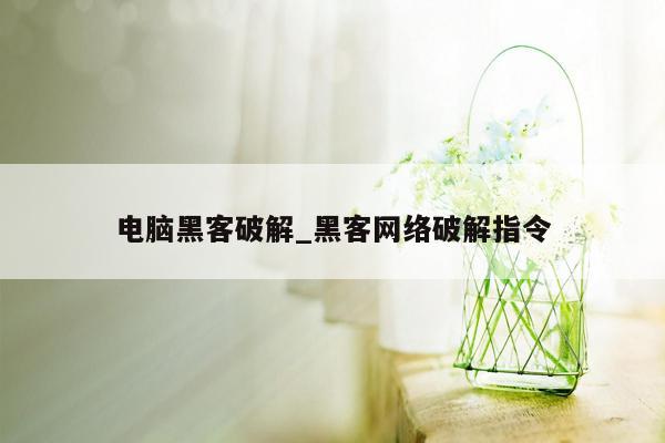 电脑黑客破解_黑客网络破解指令