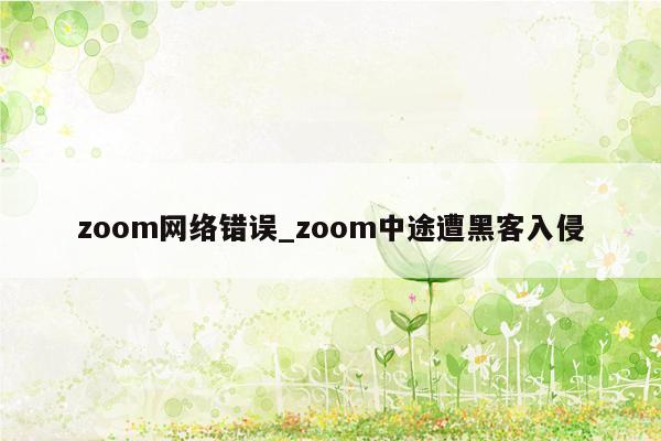 zoom网络错误_zoom中途遭黑客入侵