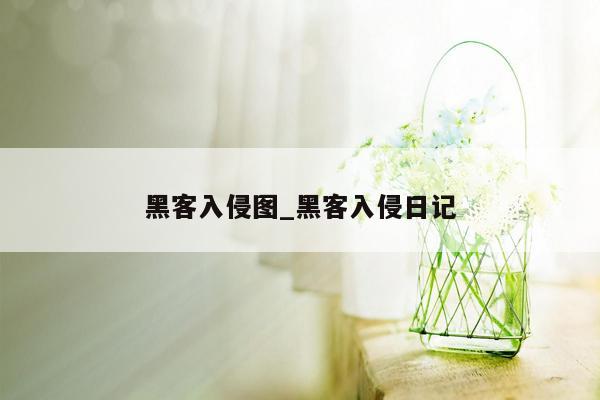 黑客入侵图_黑客入侵日记