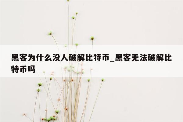 黑客为什么没人破解比特币_黑客无法破解比特币吗