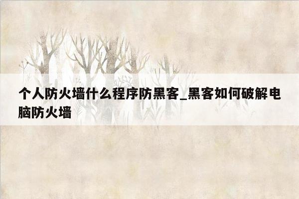 个人防火墙什么程序防黑客_黑客如何破解电脑防火墙