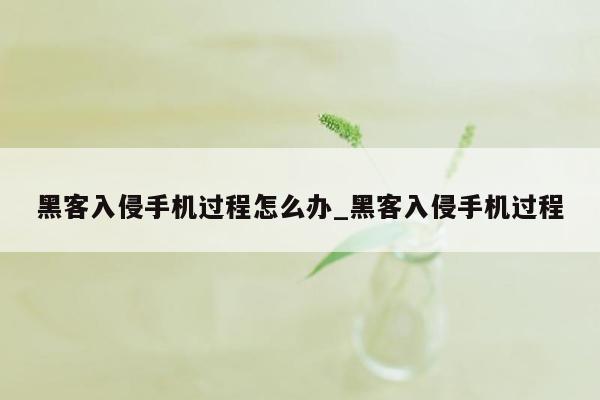 黑客入侵手机过程怎么办_黑客入侵手机过程