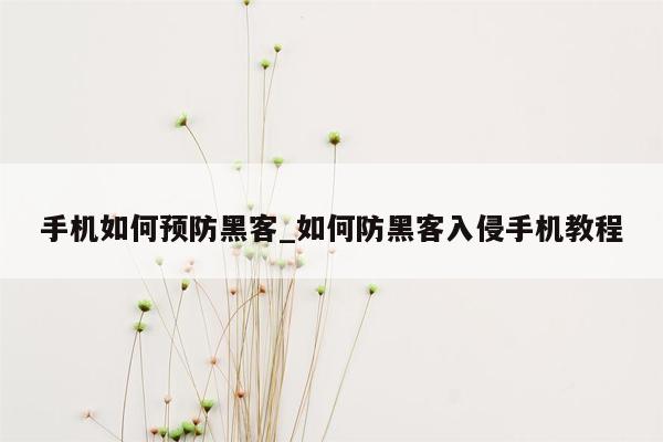 手机如何预防黑客_如何防黑客入侵手机教程