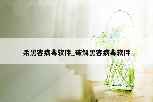 杀黑客病毒软件_破解黑客病毒软件