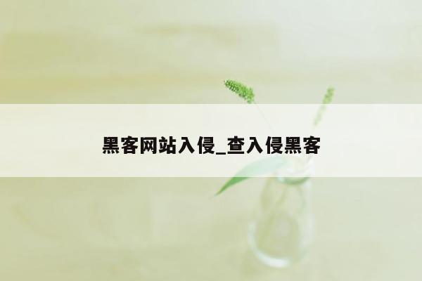 黑客网站入侵_查入侵黑客