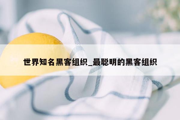 世界知名黑客组织_最聪明的黑客组织