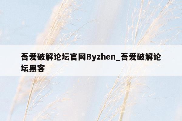 吾爱破解论坛官网Byzhen_吾爱破解论坛黑客