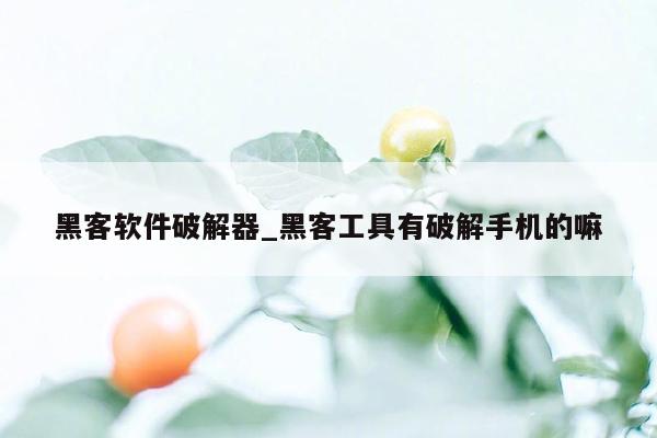 黑客软件破解器_黑客工具有破解手机的嘛