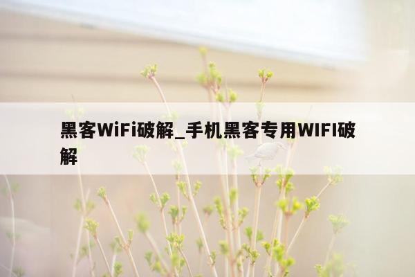 黑客WiFi破解_手机黑客专用WIFI破解