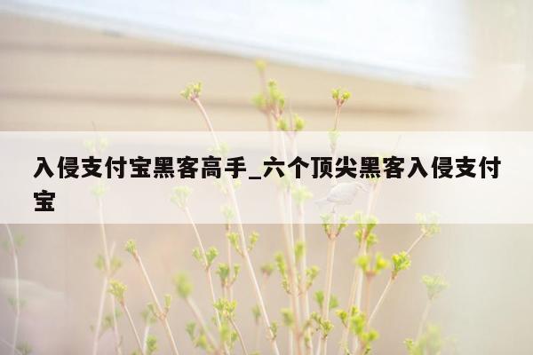 入侵支付宝黑客高手_六个顶尖黑客入侵支付宝