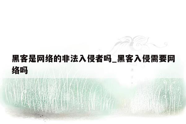 黑客是网络的非法入侵者吗_黑客入侵需要网络吗