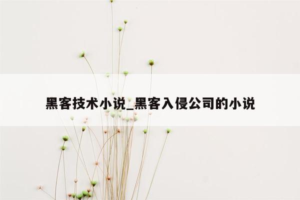 黑客技术小说_黑客入侵公司的小说