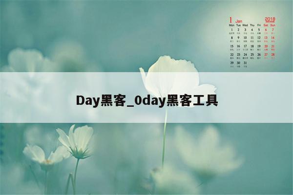 Day黑客_0day黑客工具