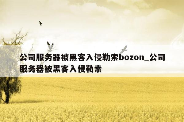 公司服务器被黑客入侵勒索bozon_公司服务器被黑客入侵勒索