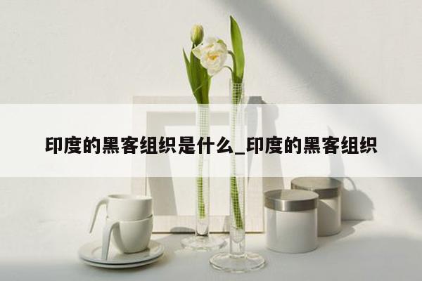 印度的黑客组织是什么_印度的黑客组织