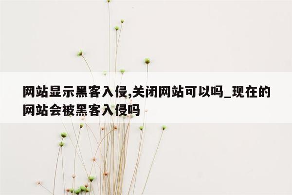 网站显示黑客入侵,关闭网站可以吗_现在的网站会被黑客入侵吗