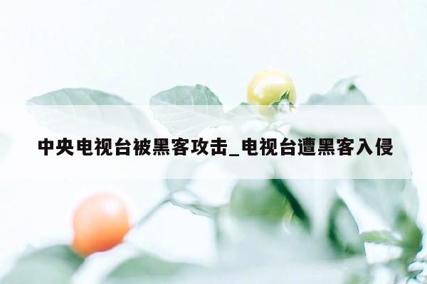 中央电视台被黑客攻击_电视台遭黑客入侵