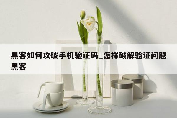 黑客如何攻破手机验证码_怎样破解验证问题黑客