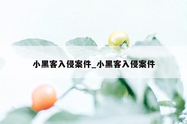 小黑客入侵案件_小黑客入侵案件