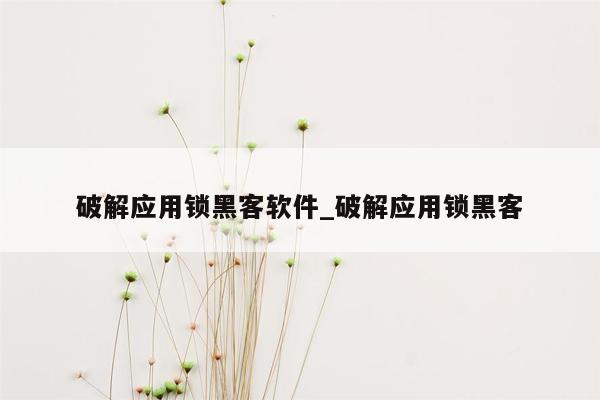 破解应用锁黑客软件_破解应用锁黑客