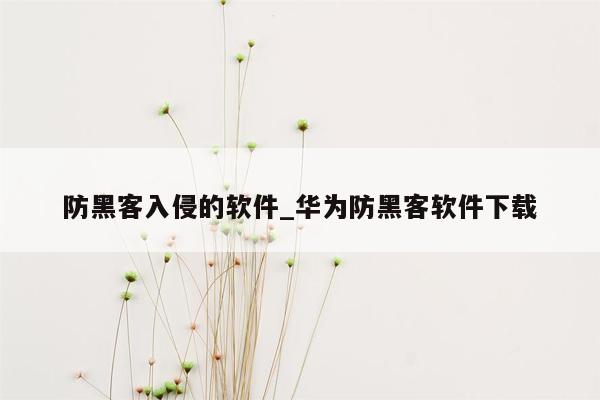 防黑客入侵的软件_华为防黑客软件下载