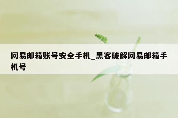 网易邮箱账号安全手机_黑客破解网易邮箱手机号