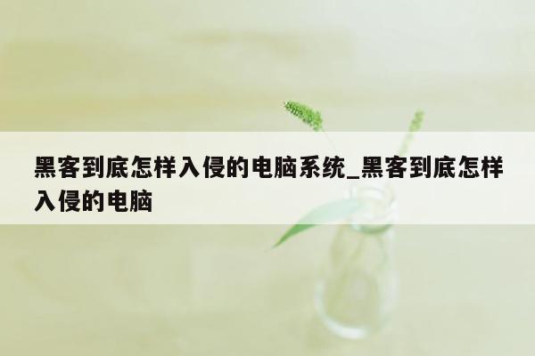 黑客到底怎样入侵的电脑系统_黑客到底怎样入侵的电脑