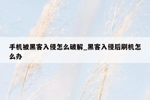 手机被黑客入侵怎么破解_黑客入侵后刷机怎么办
