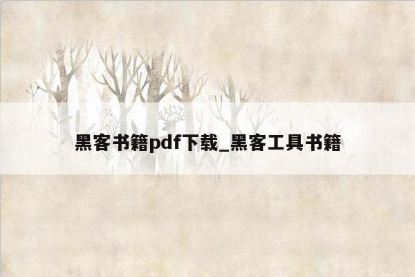 黑客书籍pdf下载_黑客工具书籍