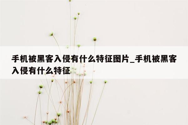 手机被黑客入侵有什么特征图片_手机被黑客入侵有什么特征