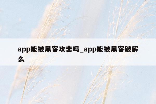 app能被黑客攻击吗_app能被黑客破解么