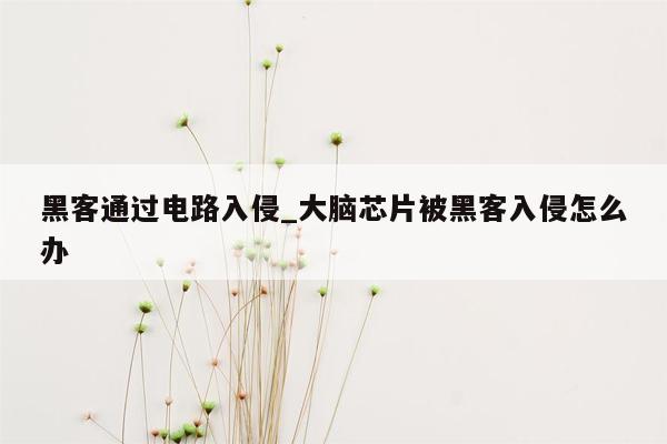 黑客通过电路入侵_大脑芯片被黑客入侵怎么办