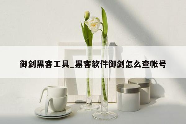 御剑黑客工具_黑客软件御剑怎么查帐号