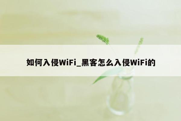 如何入侵WiFi_黑客怎么入侵WiFi的