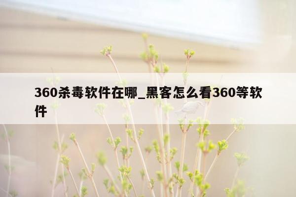 360杀毒软件在哪_黑客怎么看360等软件